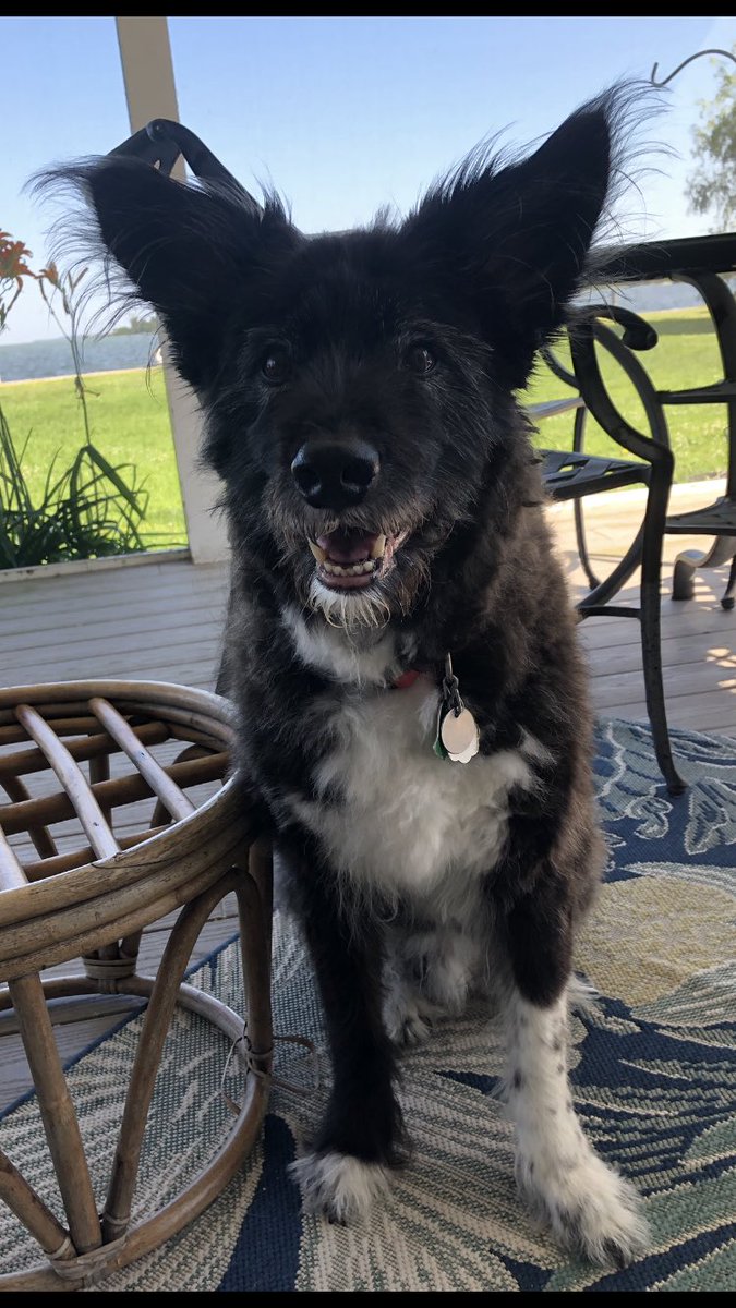 Hoosjoe's tweet photo. @dietcig @rtrmntprty Ha! Here my Cowboy! See you all soon in Boston. https://t.co/AJBCnp7Kyv