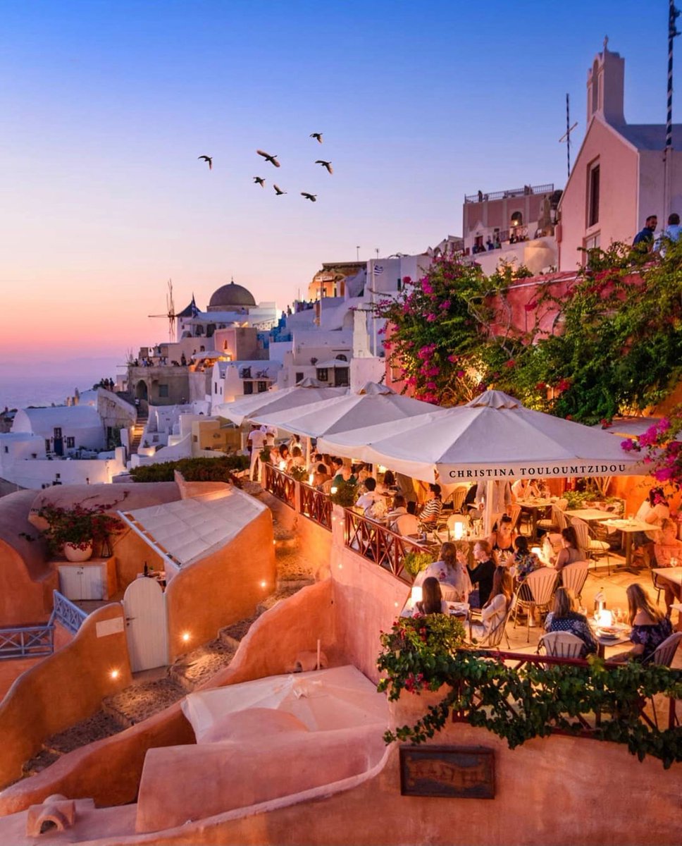 nature art tweet media