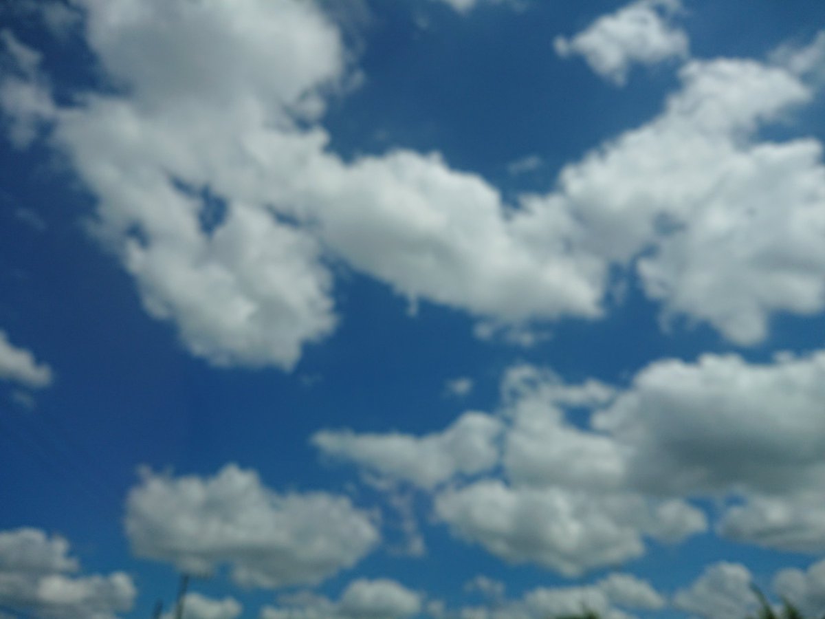 8_akubee's tweet photo. 台風前  #今日の空 https://t.co/Ldvmm8tnCx