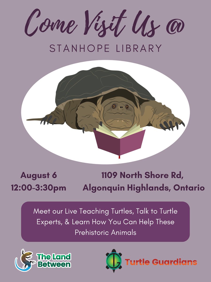 TURTLES AT STANHOPE! 
Friday we’re bringing teaching turtles to Stanhope in a Haliburton from noon to 3:30. Learn how to hold and help snapping turtles. Discover Ontario’s smallest turtles that may live near your shore. Learn how old turtles live, why they cross roads, &amp; more!