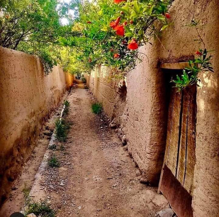 DrSamirBawar's tweet photo. ژوند یو ځل نه؛ بلکې هره ورځ له سهاره بیا پیلېږي.
نو هیلې مو زړونو کې ژوندۍ ساتئ
#Morning #bawar #afg https://t.co/t0XeaBNcPx