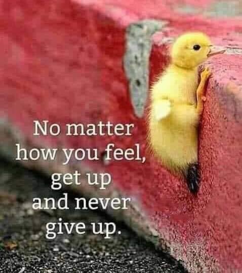 Clipper CC (@clippercross) on Twitter photo 