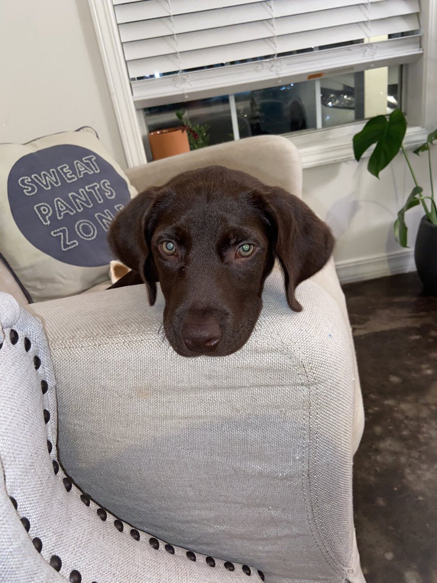 The sweetest girl 🥺🥺