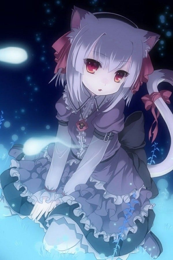 VampLayla's tweet photo. Hello all my name is Layla Midnight and I am a vampire.

NSFW/SFW
18+
No minors
name: Layla Midnight
gender:female
age:100+ but she will never tell what her true age is.
Sexuality: Bi(fem\futa lean)
25%dom 75%sub
Futa on request

New to Twitter
#MVRP #Openrp
More Info below https://t.co/NdIMuJZck6