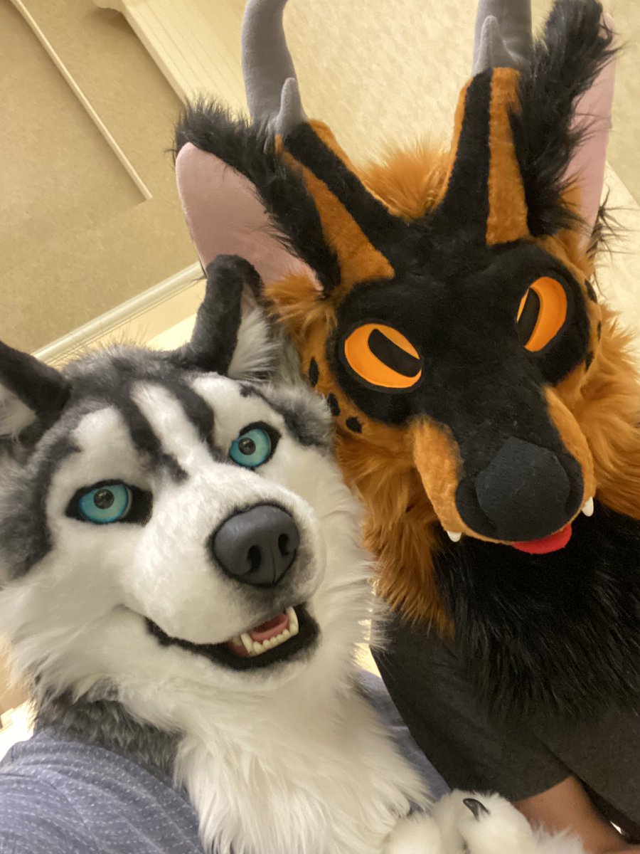 VostokHusky's tweet photo. Come find me at Megaplex! https://t.co/JFfJvrq1KD