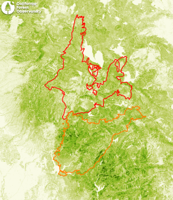 At 322,000 acres and growing with no end in sight, the #DixieFire (red) has surpassed last year's #NorthComplex (orange) 

The scale of these #wildfires is just enormous

(base layer is our 3-meter resolution tree height; darker green = taller trees) #CAfire #CAwx