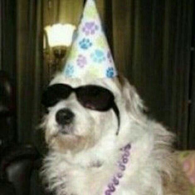 avonleabirch's tweet photo. OMG HAPPY BIRTHDAY KADIN @nigeItaylor 🐓🐓🐓 ALL THE BEST WISHES FOR YOUUU ENJOY YOUR LIFE YOUR DAYY AND BE WILDER RAWRR! PROUD TO BE A #DINTOL👽 https://t.co/4IBkF2iIIh