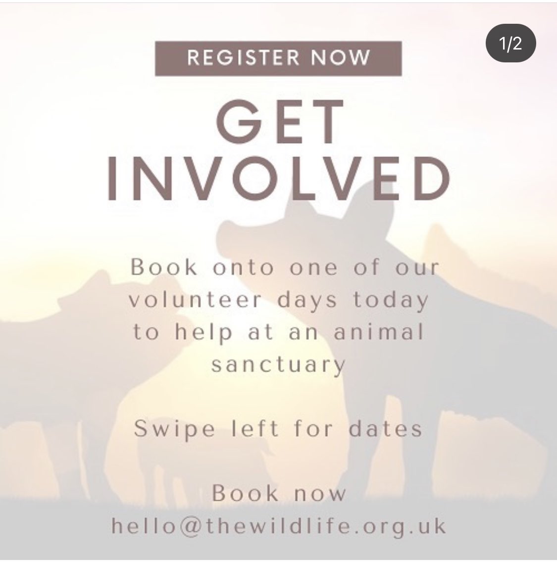 Mattchin tweet media