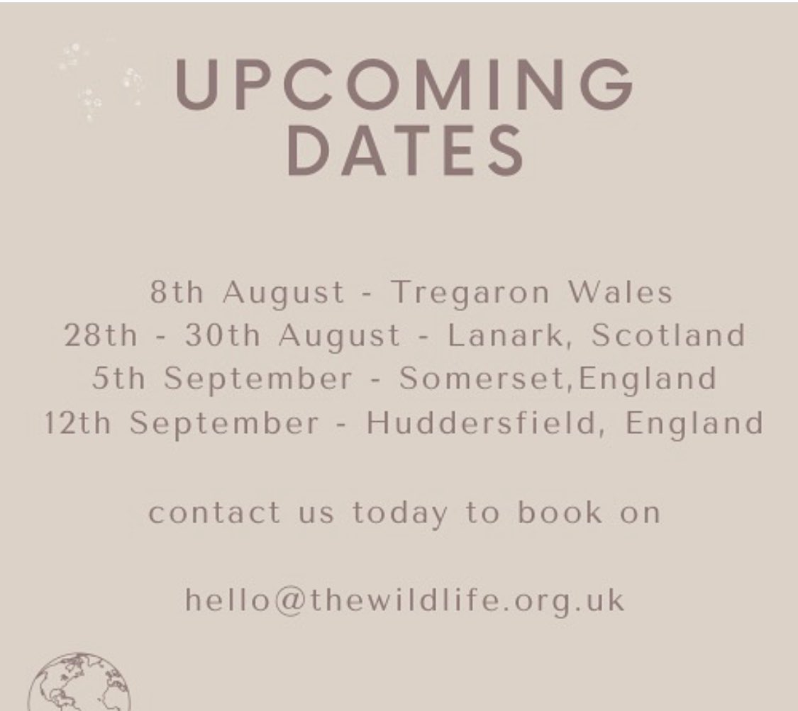 Mattchin tweet media