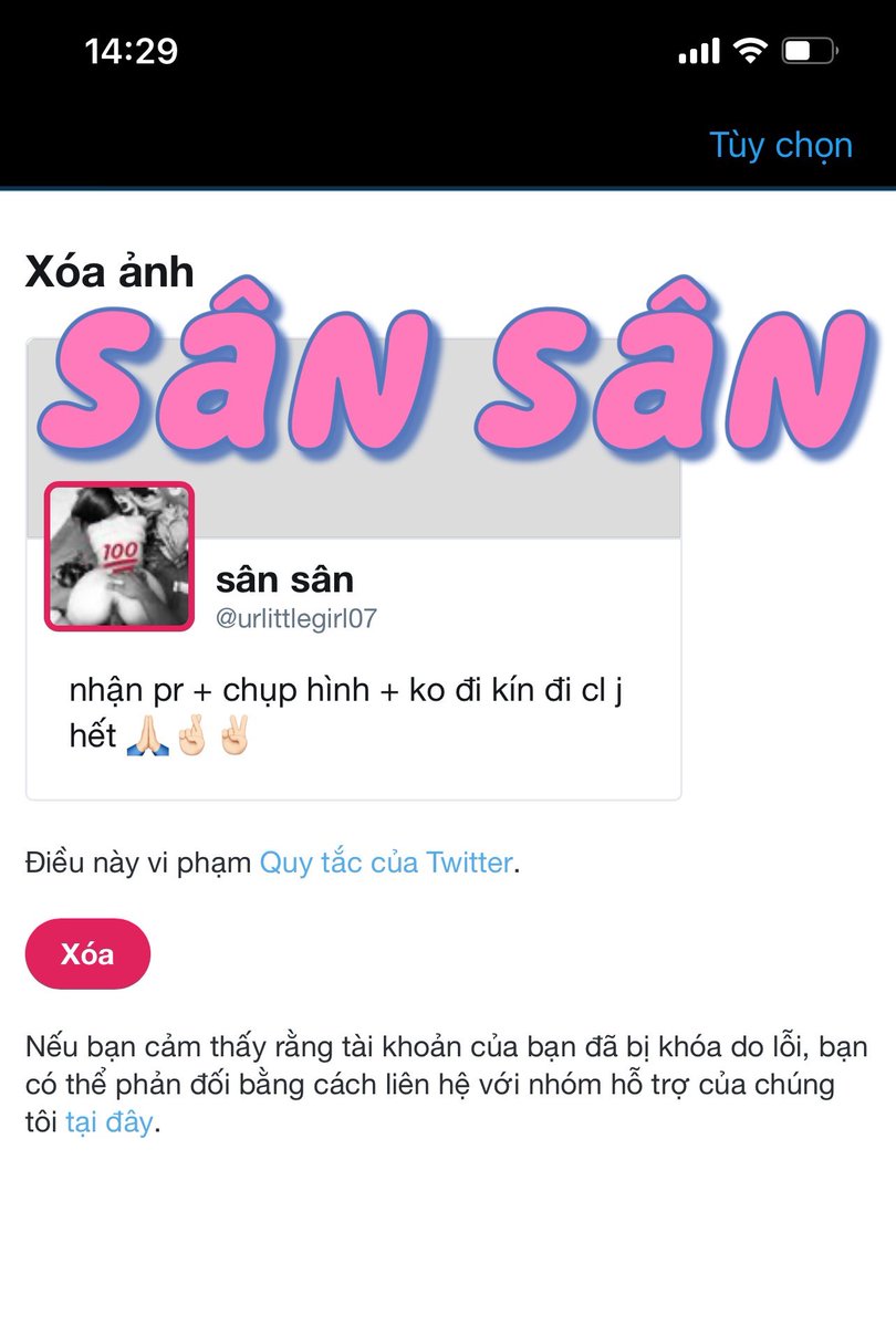 sân sân tweet media