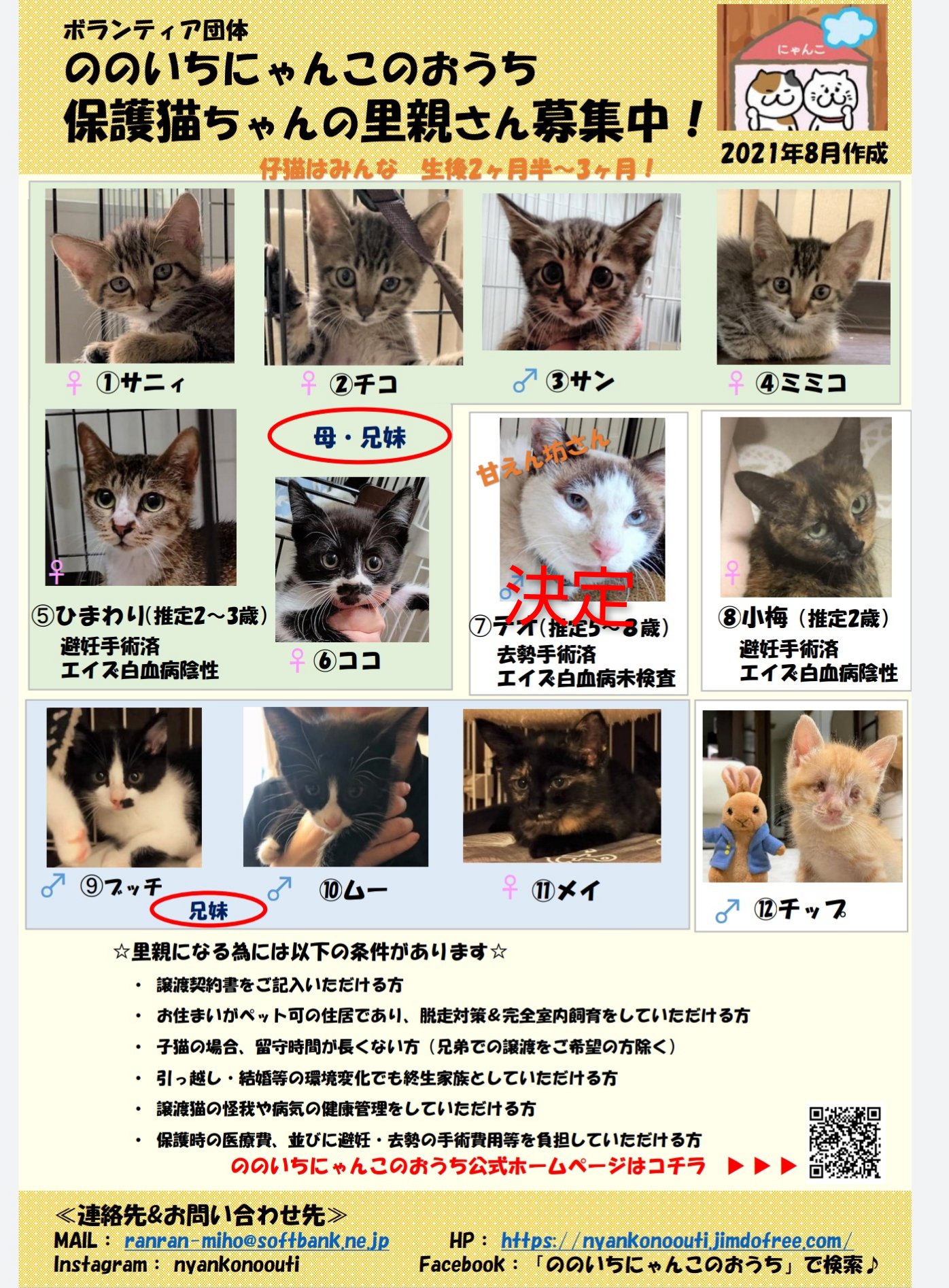 ののいちにゃんこのおうち ののいちにゃんこのおうち 里親様募集中 お見合い希望の方は Instagramのdmかホームページ内のお問い合わせまでお願い致します 8 9 13時 ぷちお見合い会開催致します 保護猫 石川県猫里親募集 猫里親募集石川県