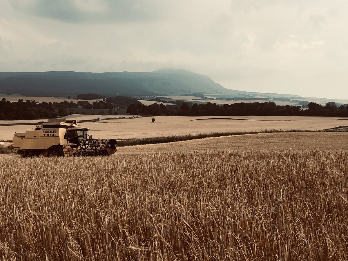 Crafty Maltsters tweet media