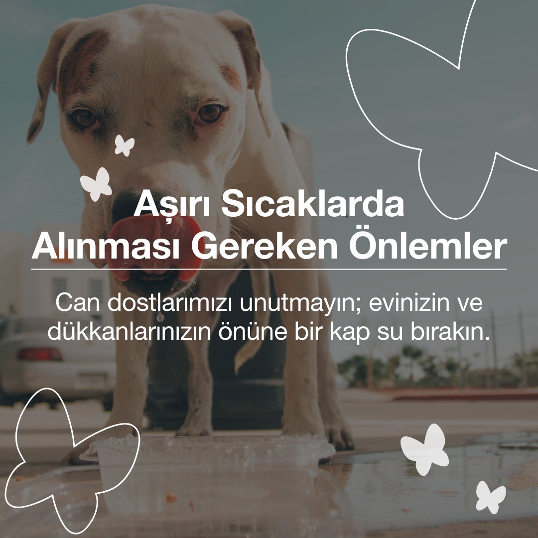 Hava sıcaklıklarının mevsim normallerinin üzerinde seyrettiği bu günlerde önlemlerinizi almayı ihmal etmeyin!

#kelebekmobilya #önleminial