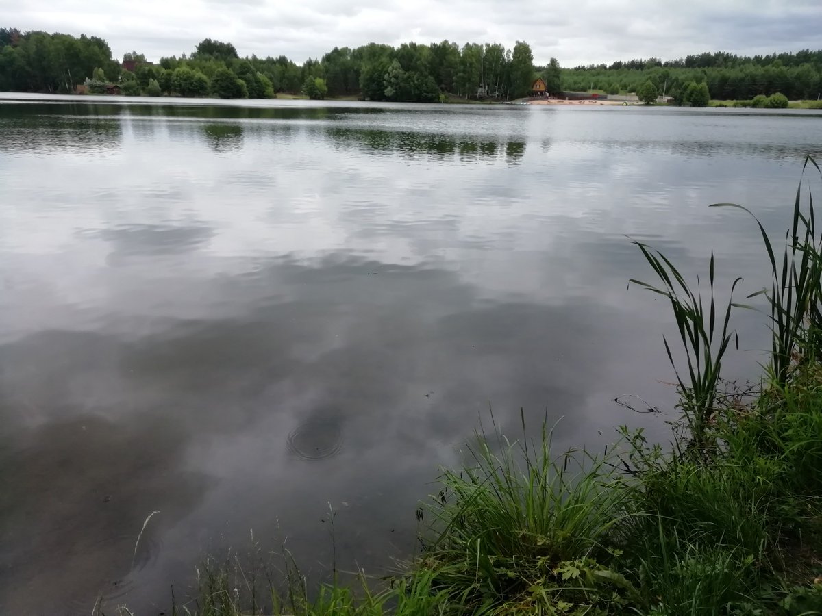 Непроточный водоем. Пенза Ереминский пруд. Ближайшее озеро. Малосердобинский район водоемы. Барковка Пенза.