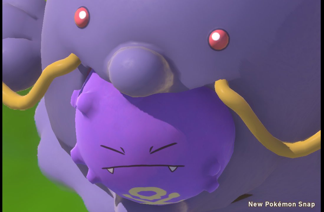 マルノーム Twitter Search Twitter