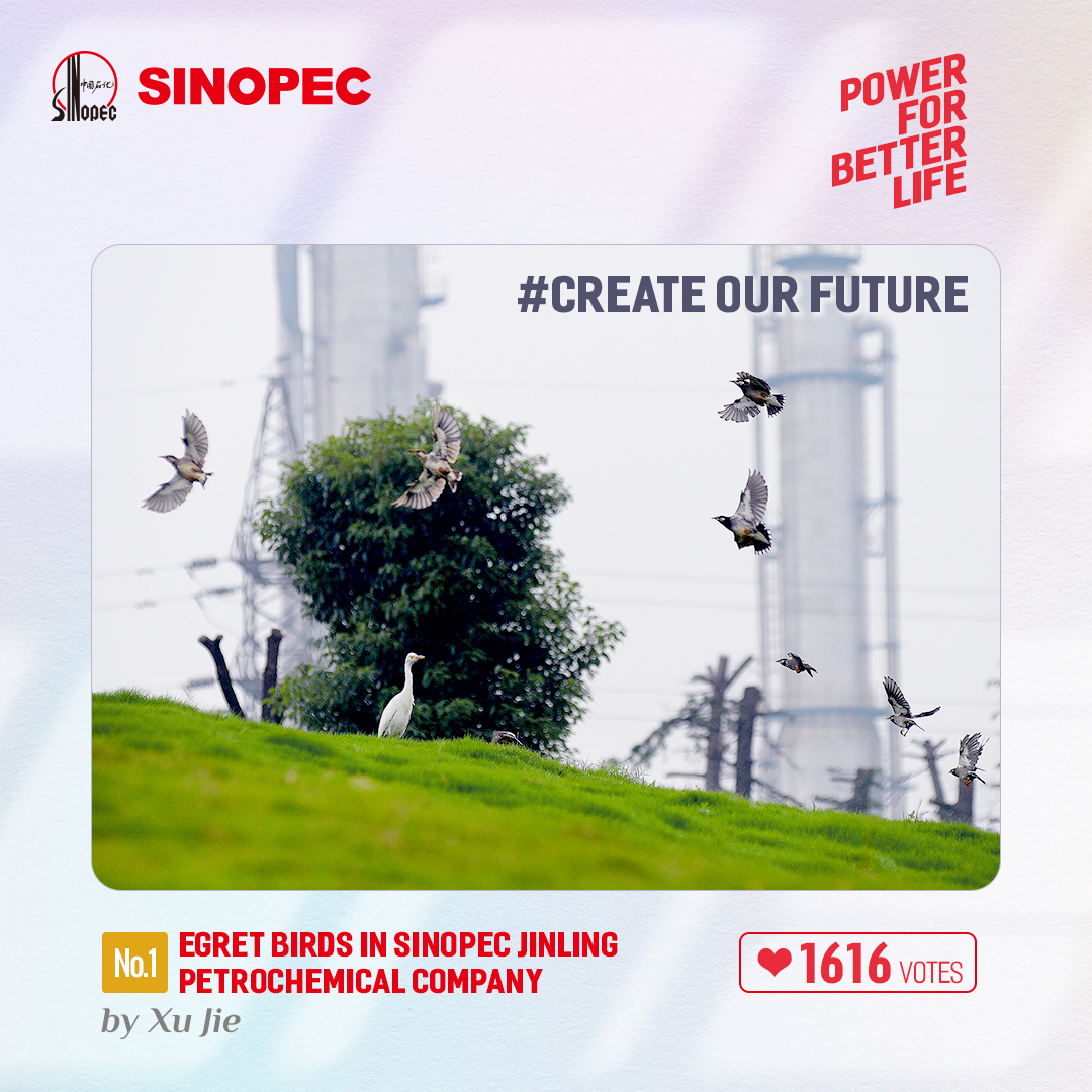 SinopecNews's tweet photo. The winners of #ThisisUs and #CreateOurFuture in the 2021 Sinopec International #photographycompetition have now been announced! During the contest, we received 105 entries from 12 countries and almost 3,500 votes in the final stage. Thank you all for your support! https://t.co/CICm9RMbMT