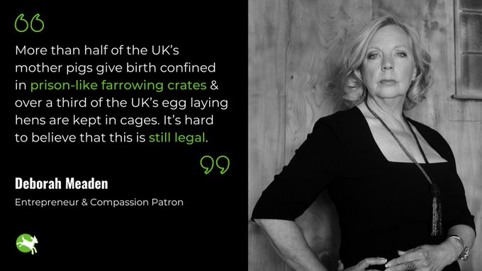 A quote from Deborah Meaden, dragons den entrepreneur, "More than half of the UK's mother pigs give birth confined in prison-like farrowing crates and over a third of the UK's egg laying hens are kept in cages. It's hard to believe this is still legal."  