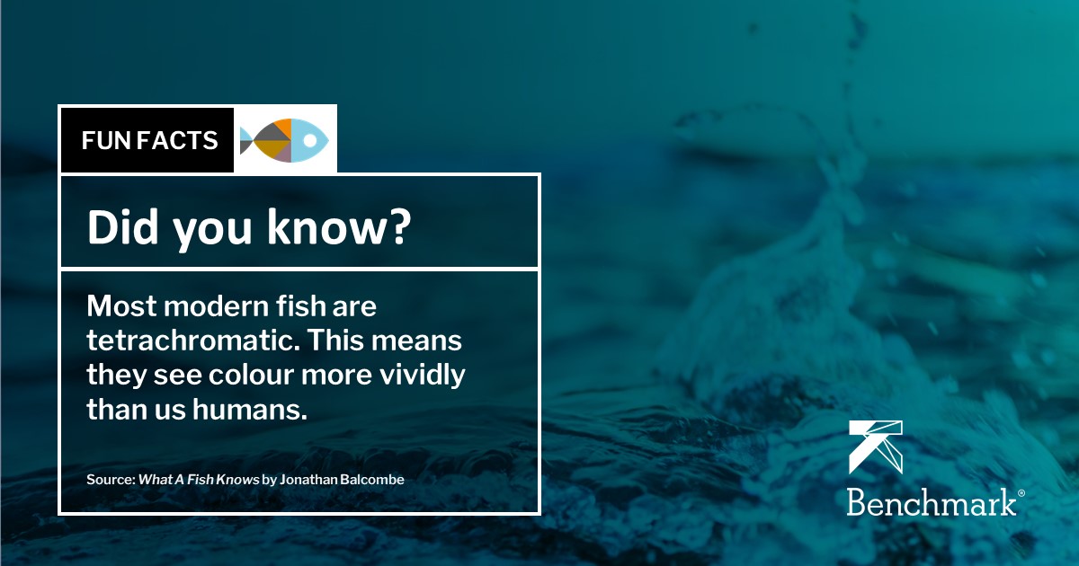 Friday fun fact!