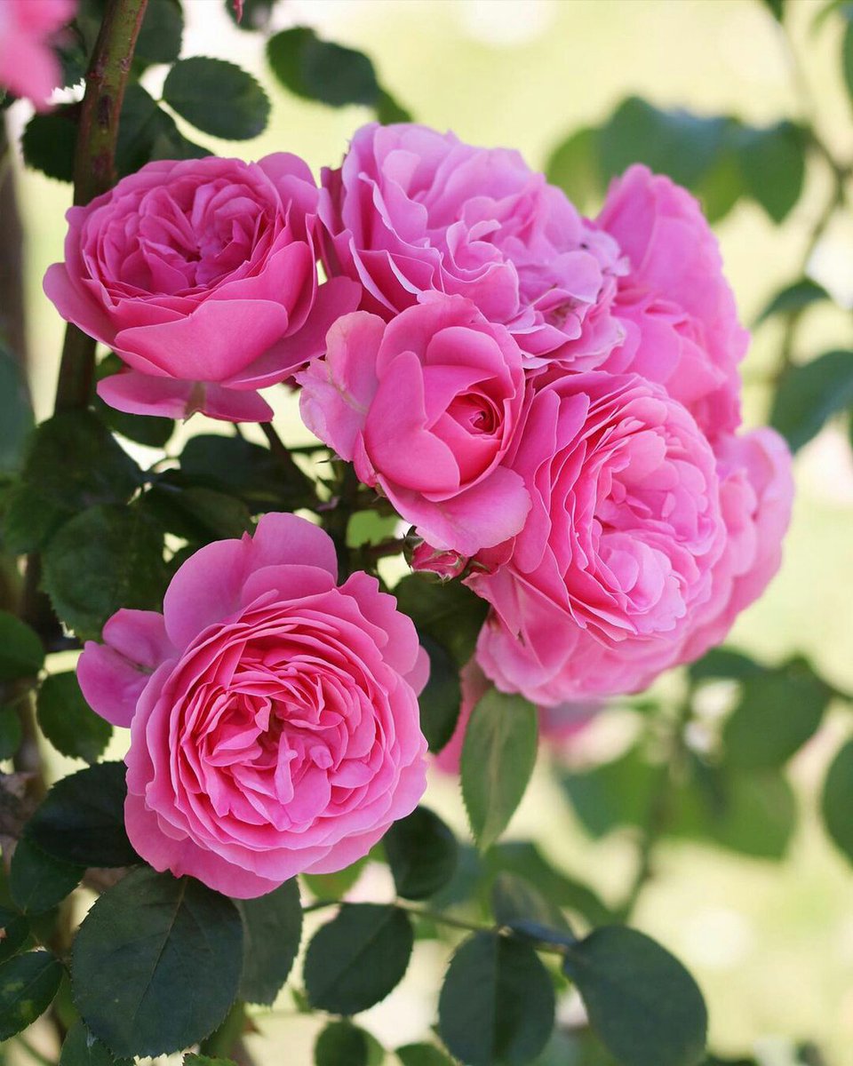 kshitiz97129954's tweet photo. Good morning freinds https://t.co/8bGjsEZUrA