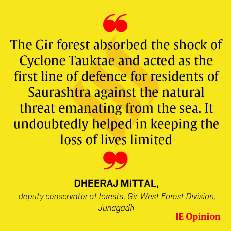 #ExpressOpinion | Not just an abode of lions

<a href="/dmittal_ifs/">Dheeraj Mittal</a> writes: bit.ly/3lyFS9x