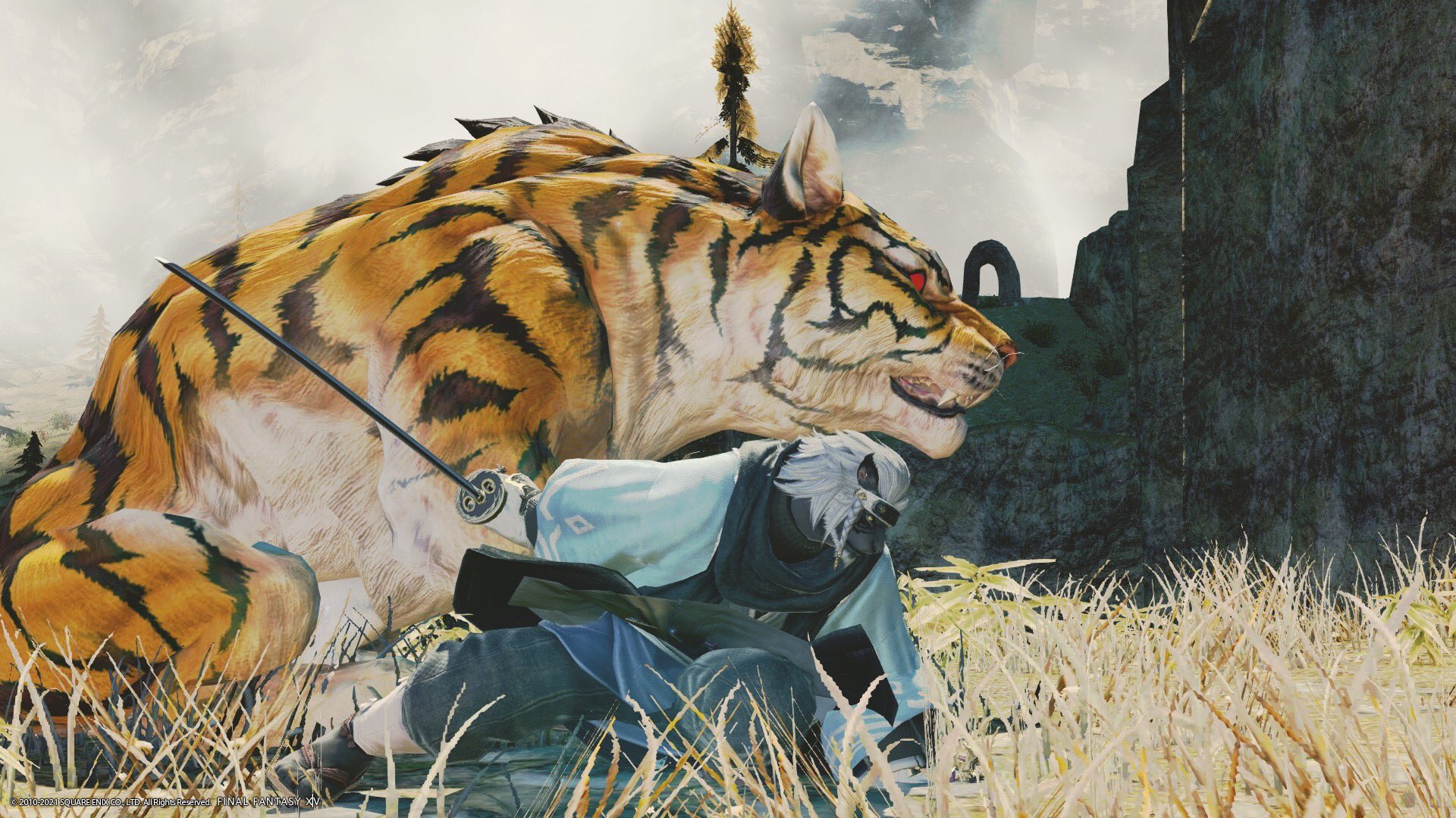 レイン Aegis 6 0クリア Auf Twitter 双虎 5 かっこいい 7 異国風 4 紅蓮フィールド 虎は普通の敵なので動き回って大変 グルポのカメラと照明の保存設定を使ってパパッと撮りました Ssお題サイコロ T Co Wlkz5tltdr Twitter