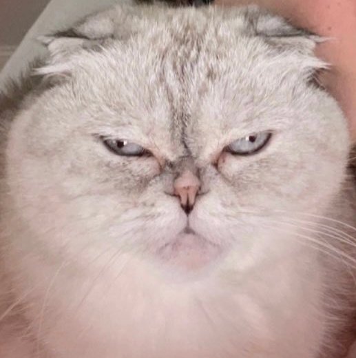 icesagetwt's tweet photo. @lvjyswift "it'S sO bOriNg" https://t.co/V6voBjxpWV