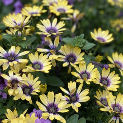 jerdai's tweet photo. #NewProfilePic https://t.co/hf4SijVmNK