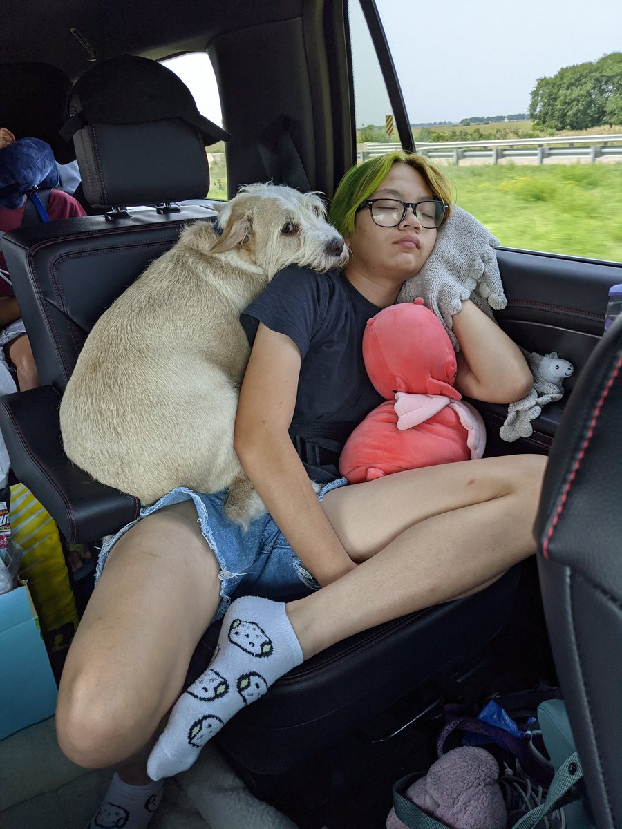 DailyDanica's tweet photo. Many positions of Bruiser. https://t.co/RfIh3fHvWg