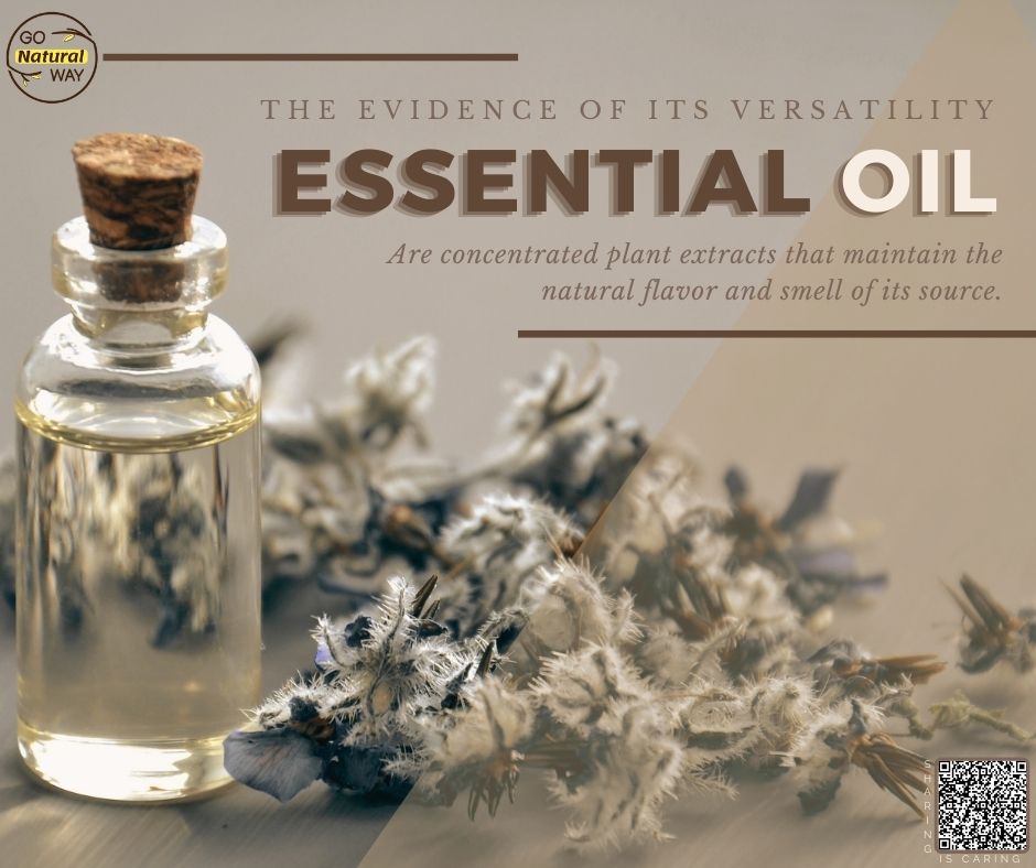 gonatway's tweet photo. Essential oil benefits, and the evidence of its versatility https://t.co/witwOszVKu
Tags:
#essentialoilsforhealth #essentialoilsforthewin #essentialoilsph #essentialoilshouse #essentialoilsupplies #essentialoilsandwellness #essentialoilsforhealing #essentialoilsforwellness https://t.co/zMUTEujF2S