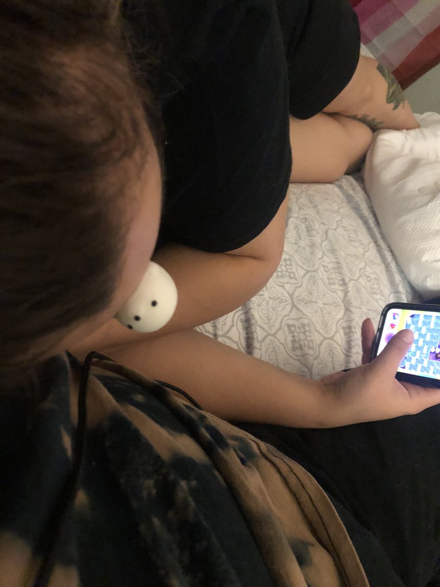 sunflower_ashy's tweet photo. forehead seal is watching 😐 https://t.co/sKU93KqFNc
