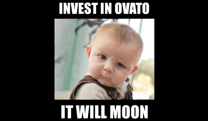 EthanKoh23's tweet photo. #cryptoinvestments #trustwithin #cryptocurrency #ovato https://t.co/bh0CgtC2Yl