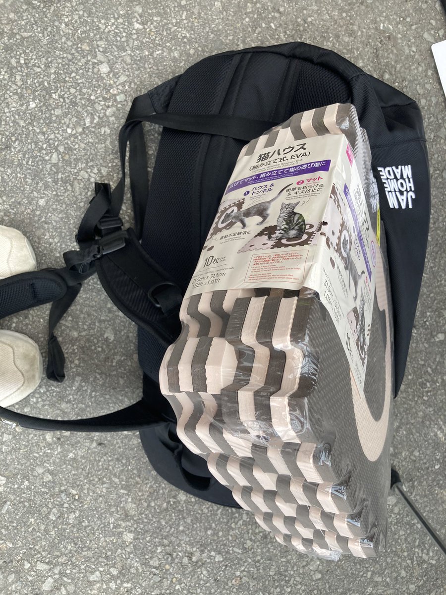 #百均
 #ダイソー
猫グッズ買ったけど入らへん笑