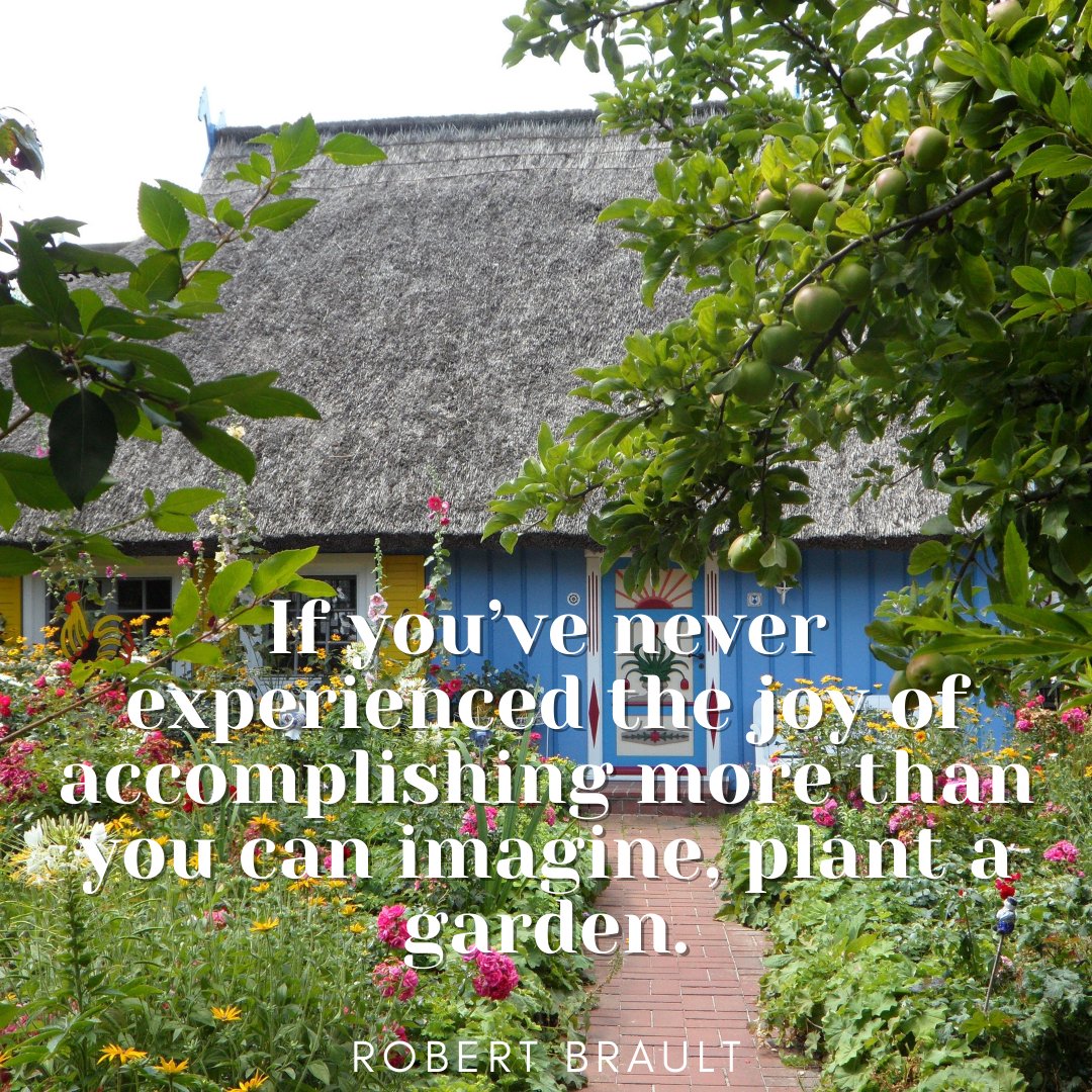 peat_free's tweet photo. Today's thoughts on soil 🌱📓💚
#soil #growing #gardening #healthysoil #soilhacks #gardeninghacks #farminghacks #soillife #soilmicrobiology #soilfoodweb #soilbiology #bettersoil #DIYgardening #soilconditioning #plants #permaculture #organic #organicgrowing #organicgardening https://t.co/uwkNJE6UN2