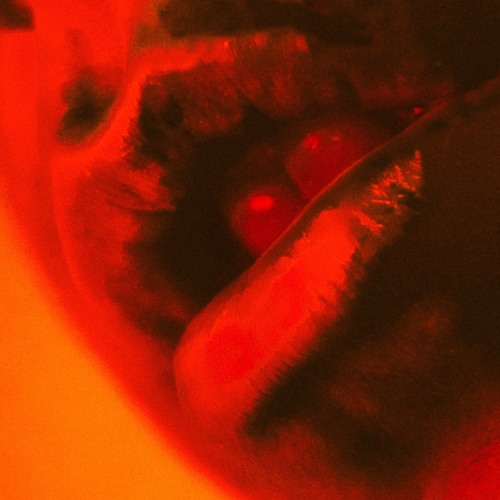 ALFITUDE tweet media