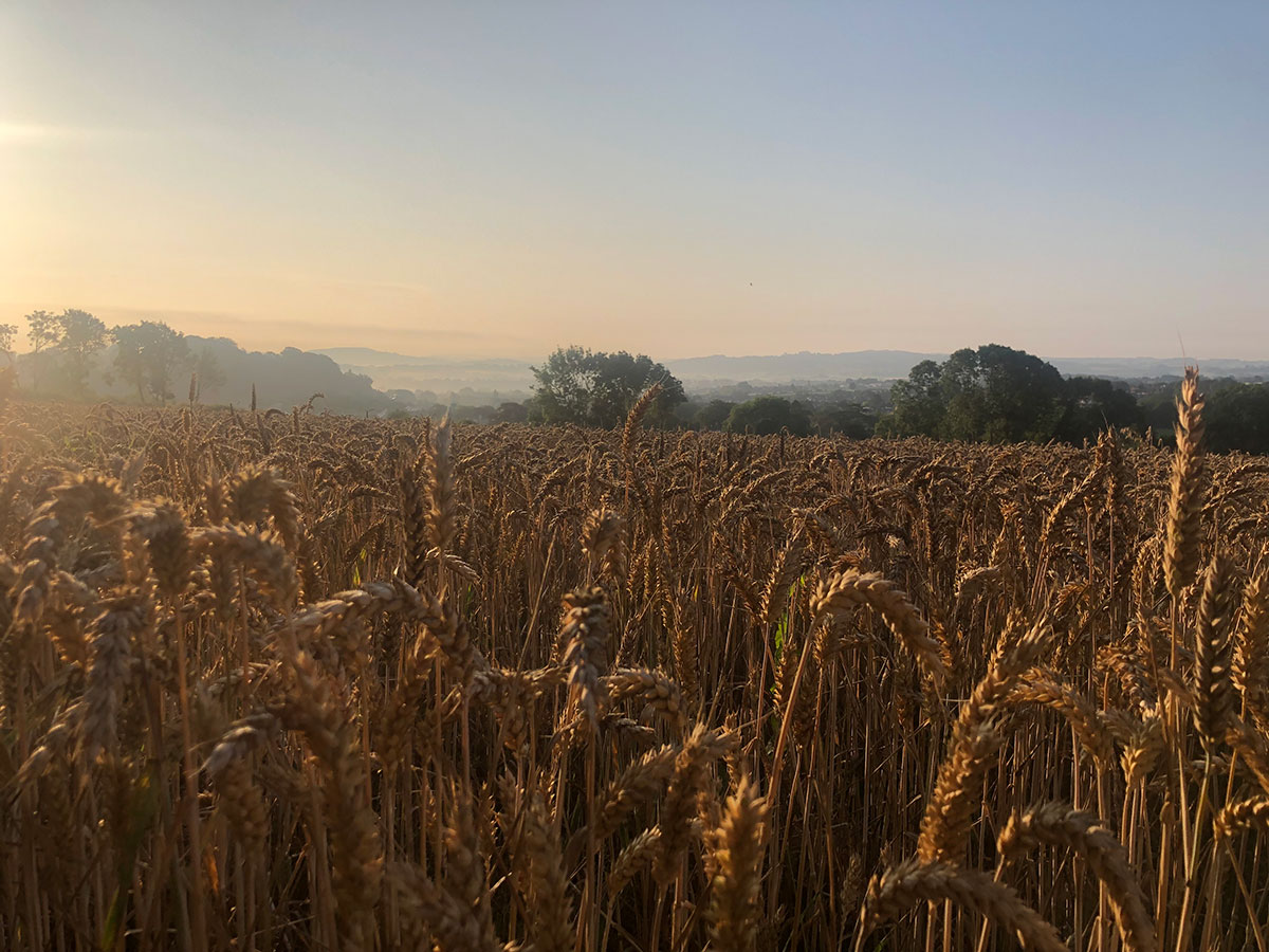 RaveXITServices's tweet photo. Good morning from Somerset! Wishing you all a great Friday 😀 #fridayfeeling #westcountry #biz https://t.co/9ISQJkBZD9