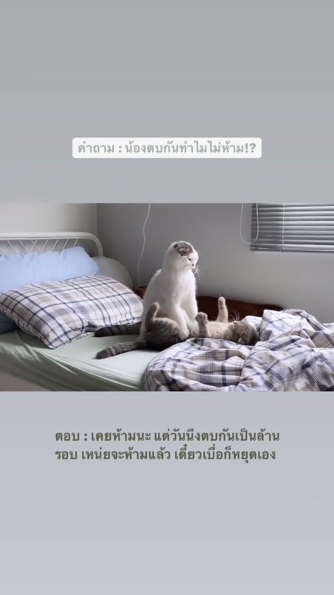 มาเอาไร? tweet media