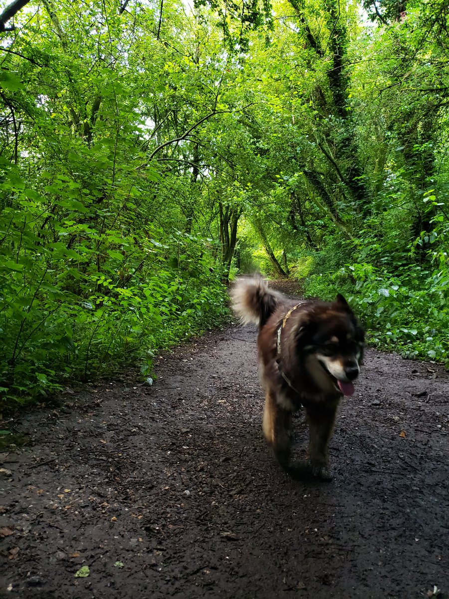 Woz4Freedom tweet media