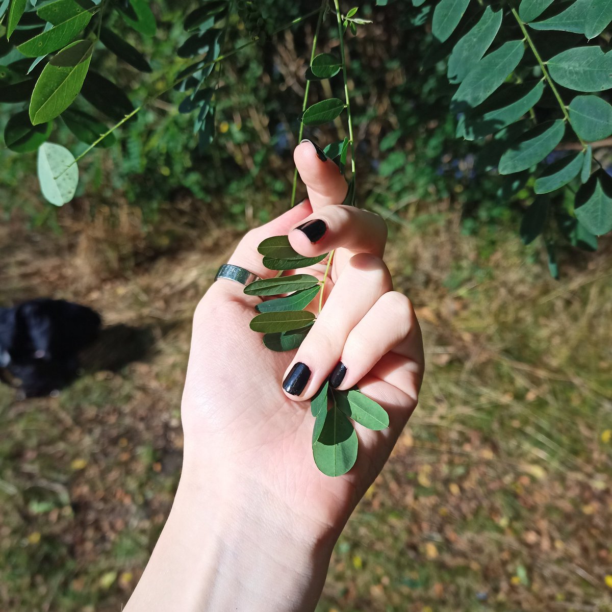 gdesigi's tweet image. Немного моих летних рук вам в ленту☀️