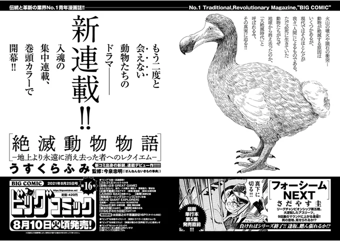 【次号予告】
もう二度と会えない、動物たちのドラマ--
新連載・巻頭カラー!
『絶滅動物物語』うすくらふみ/今泉忠明

単行本第5集発売直前!
『フォーシームNEXT』さだやす圭

ビッグコミック16号、8/10(火)ごろ発売! 