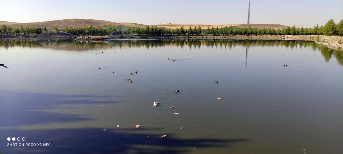 #Günaydın
Güzel umutlarınızın karşılık bulduğu, bereketli bir gün dileriz.