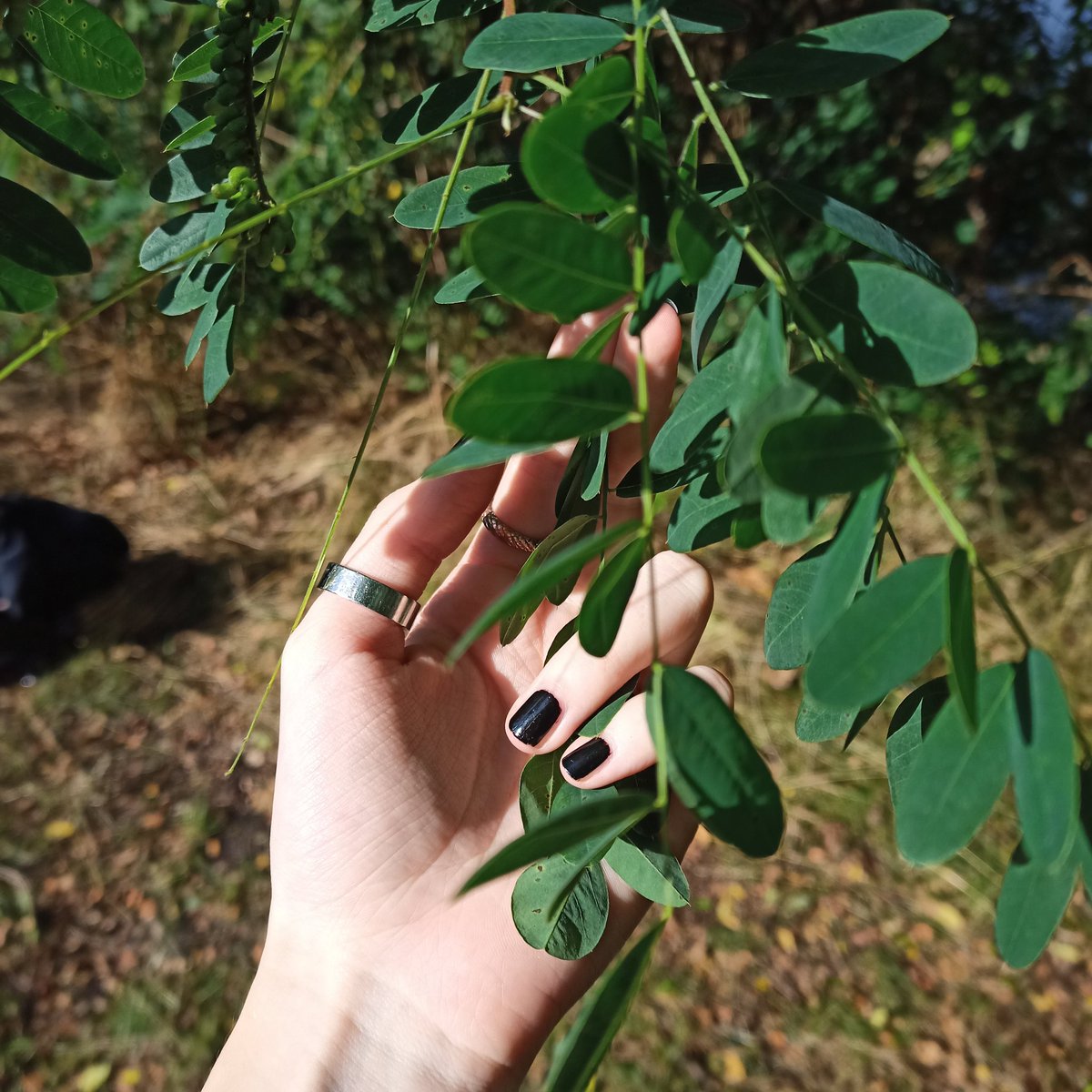 gdesigi's tweet image. Немного моих летних рук вам в ленту☀️