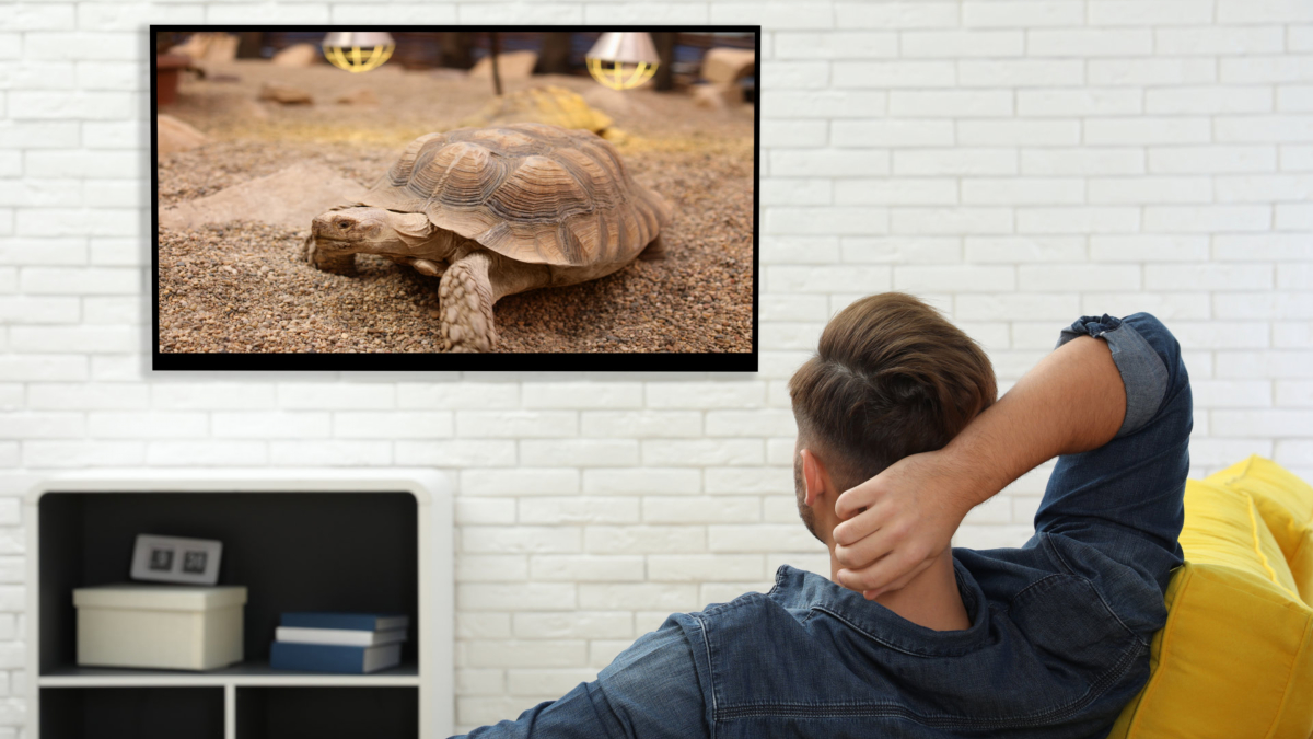 globalNET_iTV's tweet image. It’s quite unfair to label television as “bad” for an individual. In actuality, everything depends on your usage.
Read more: facebook.com/globalnetitv/p…
#TV #EducationalChannels #globalNETiTV