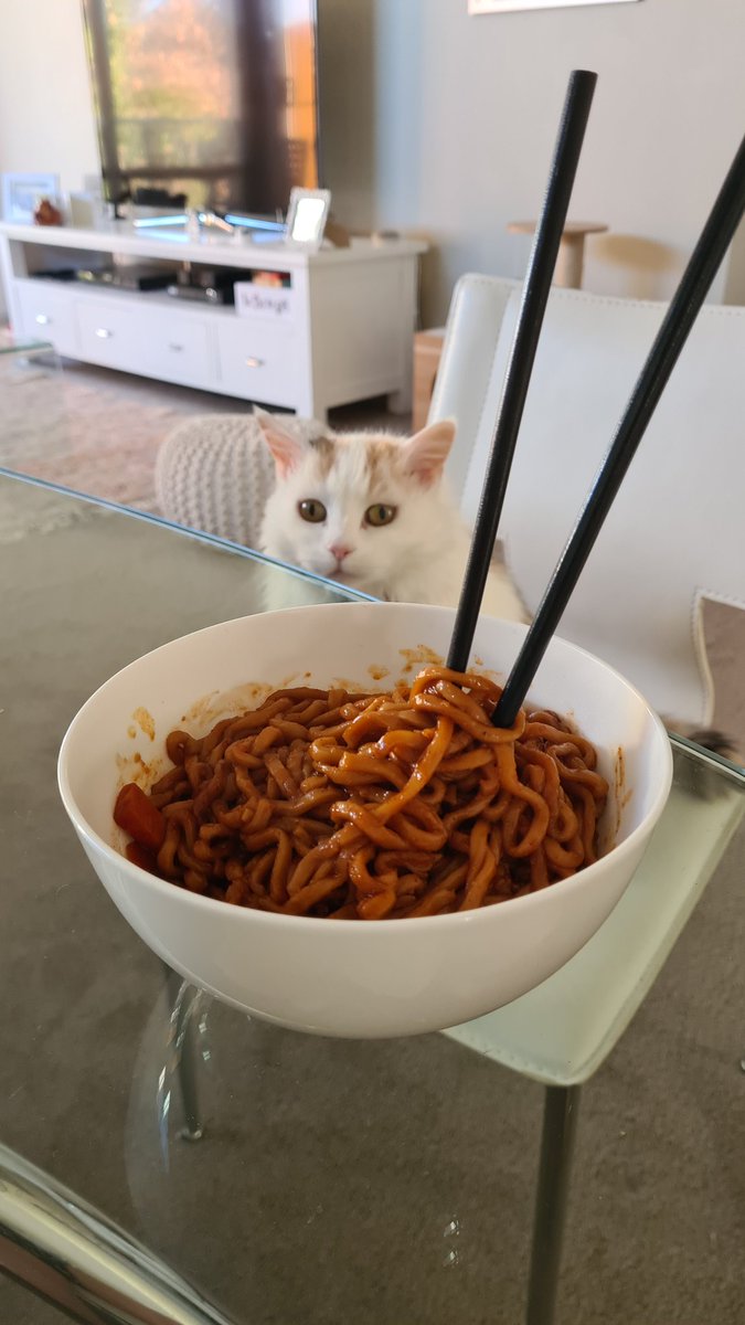 _outRAGEjess's tweet image. Breaking a 19 hour fast with some noods. 🍜 #IntermittentFasting 

(Puddy has done well with her 19 minute fast. 🐈 #IntermittentEating)