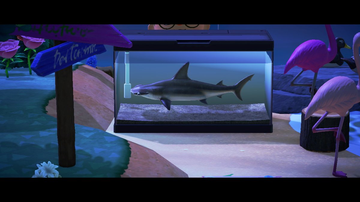 mswaitwut's tweet image. #AnimalCrossing #ACNH #NintendoSwitch