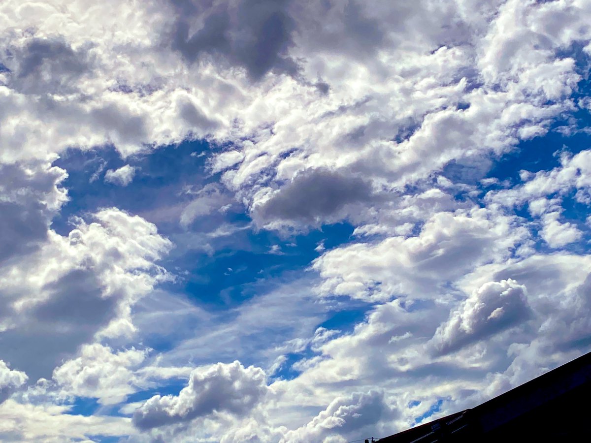 三日ぶりに外出ると雲一つで感動するよ 