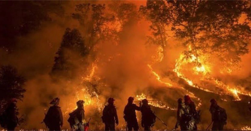 Ormanlar yanıyor, biz yanıyoruz/İnsanlar, hayvanlar ölüyor, biz ölüyoruz/Toprak bitiyor, biz bitiyoruz... 🙁 #yangınlar