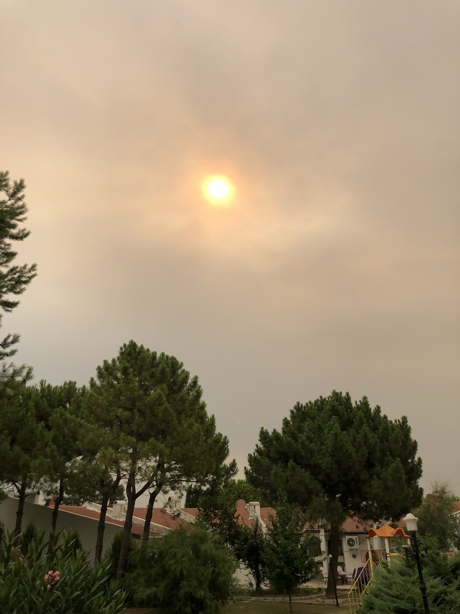 abundanti's tweet photo. Çanakkale Eceabat’ta kül yağıyor… https://t.co/vUFNl3GWwG