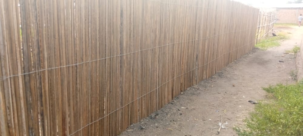 CRumonge's tweet photo. 🔴Les travaux de construction d'une clôture définitive de la Parcelle où sera développé le projet du CAR évoluent bien.Ces travaux sont à 95% d'exécution.

#CAR 
@ANACOOP_BURUNDI 
@RumongeProvince 
#Elevage 
#Rumonge https://t.co/aDh26ugfxO
