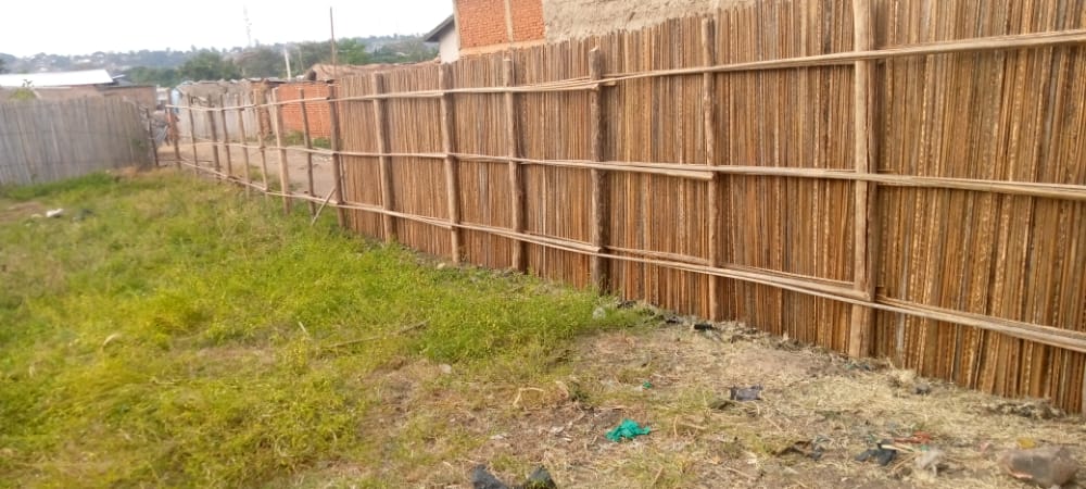 CRumonge's tweet photo. 🔴Les travaux de construction d'une clôture définitive de la Parcelle où sera développé le projet du CAR évoluent bien.Ces travaux sont à 95% d'exécution.

#CAR 
@ANACOOP_BURUNDI 
@RumongeProvince 
#Elevage 
#Rumonge https://t.co/aDh26ugfxO