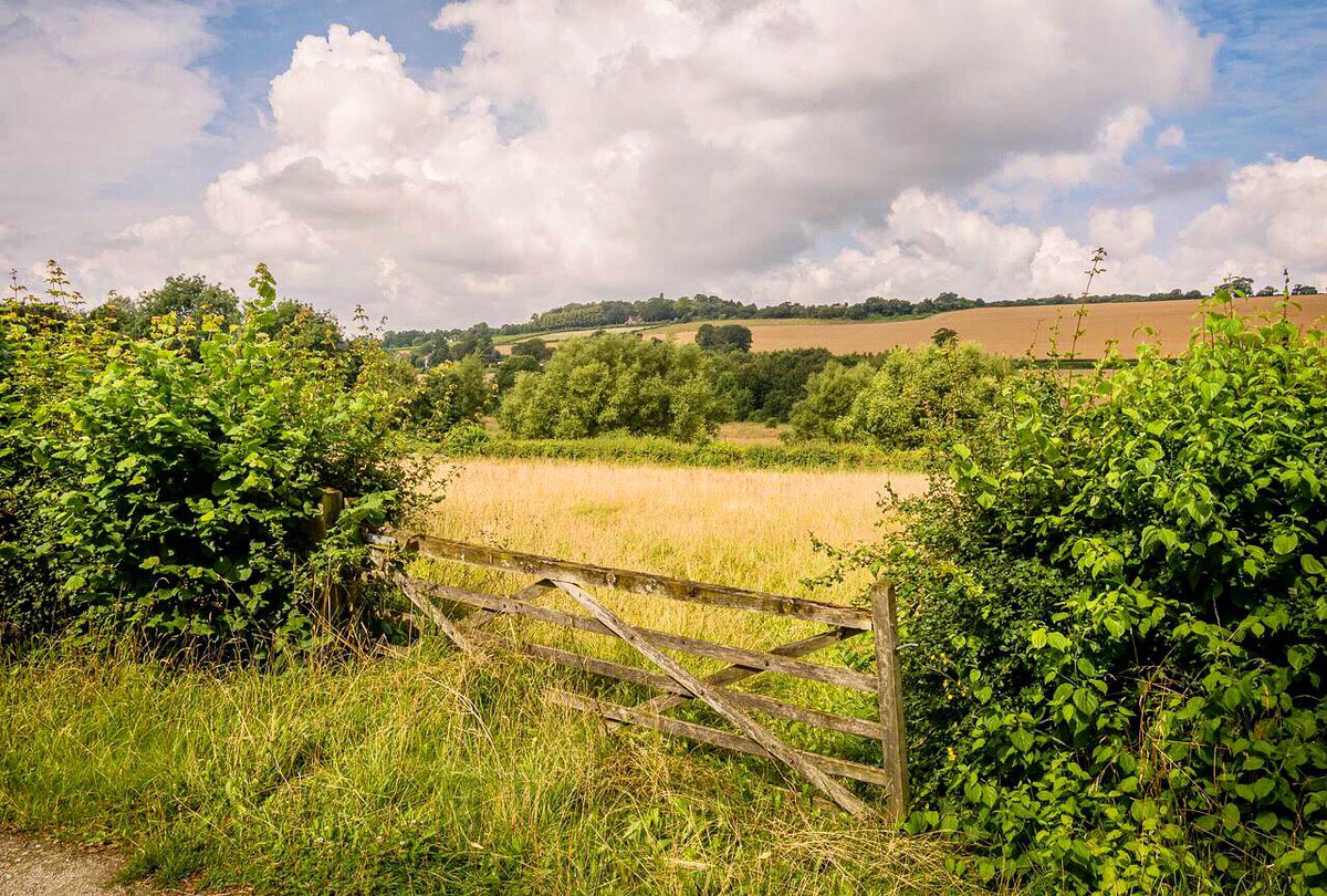 OutdoorReed's tweet photo. Loving the peaceful countryside Farningham to Eynsford
#farningham #eynsford #kent #peacefulwalk #darenthvalley #englishcountrylife #lifeinthecountry #summer2021 #countrysidelife #countrywalk #ruralkent #rurallife #freshairtherapy 
#lovekent #kentphotography #kentphotographer https://t.co/NuS1sFvPWA